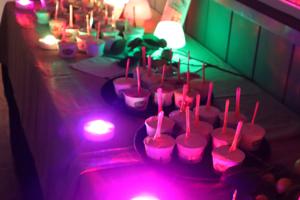 Camping Limone (137)